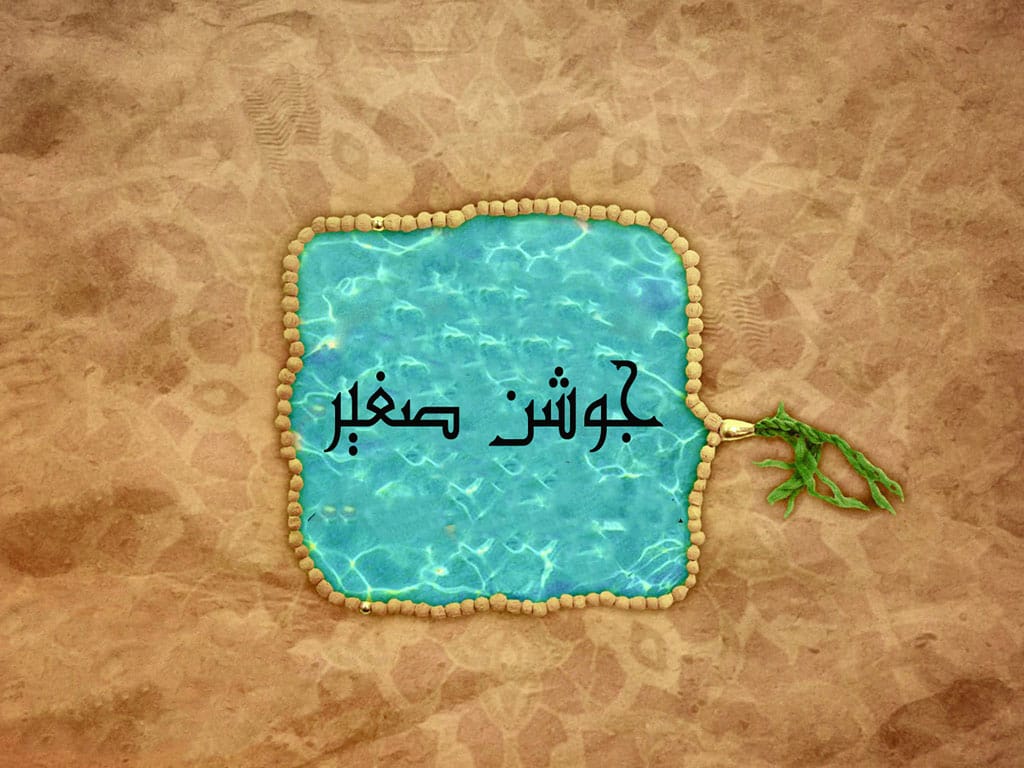 جوشن صغیر دریایی برای سپاس