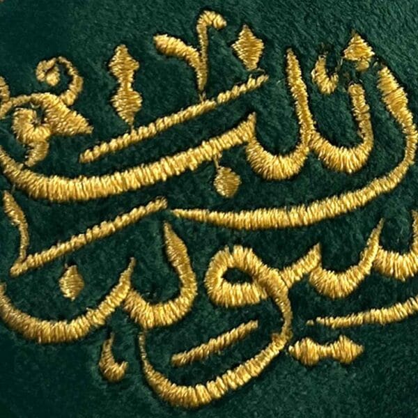 دیتیل پیکسل اسوتنا زینب